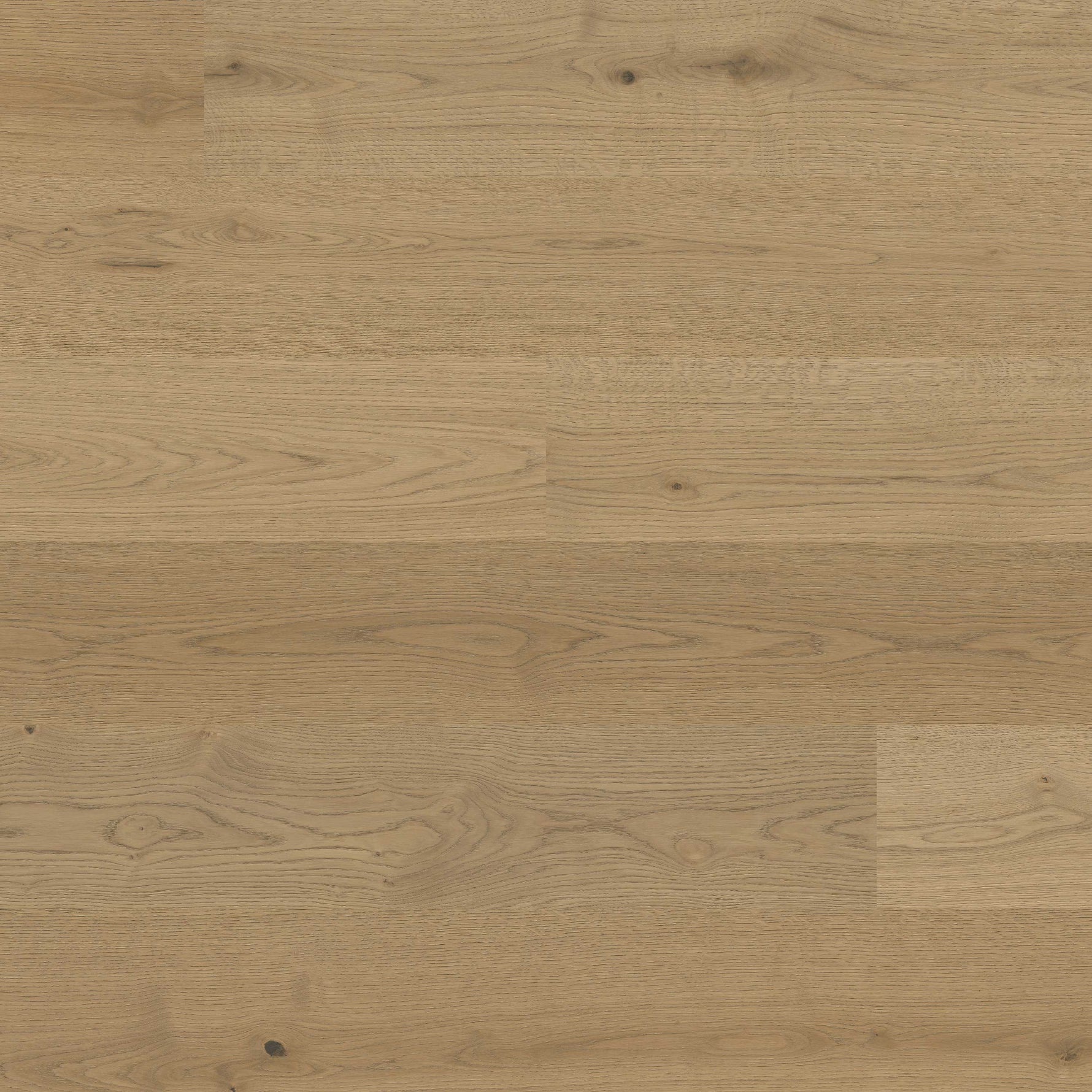 W by MSI McCarran — Adriel Oak — detail