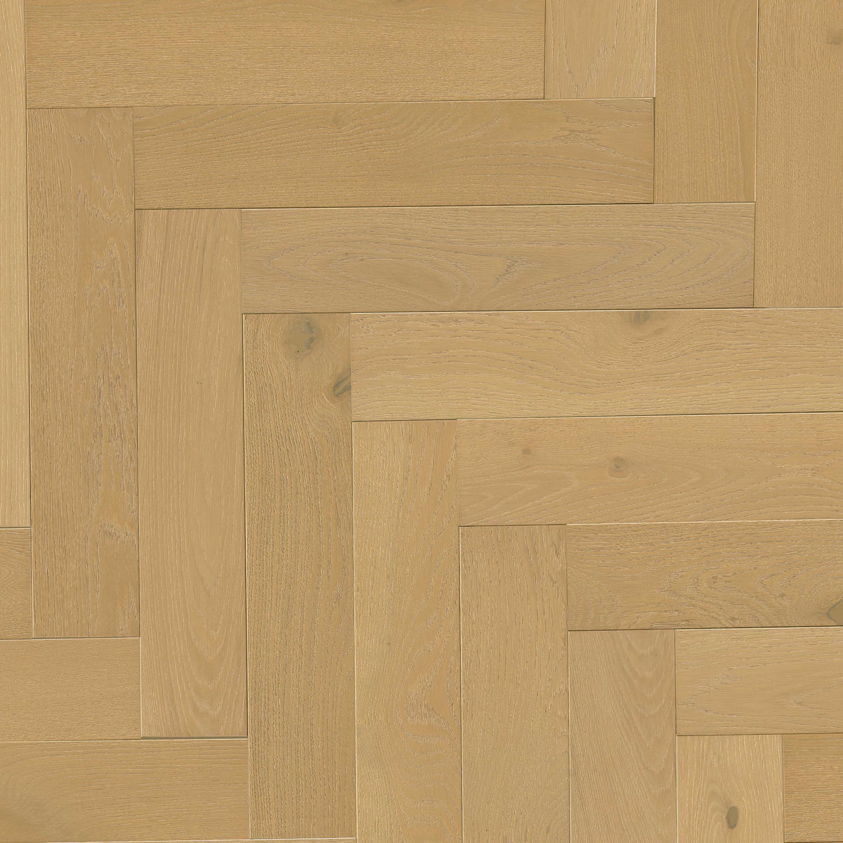 W by MSI McCarran Herringbone — Whitlock 5x24 — iso