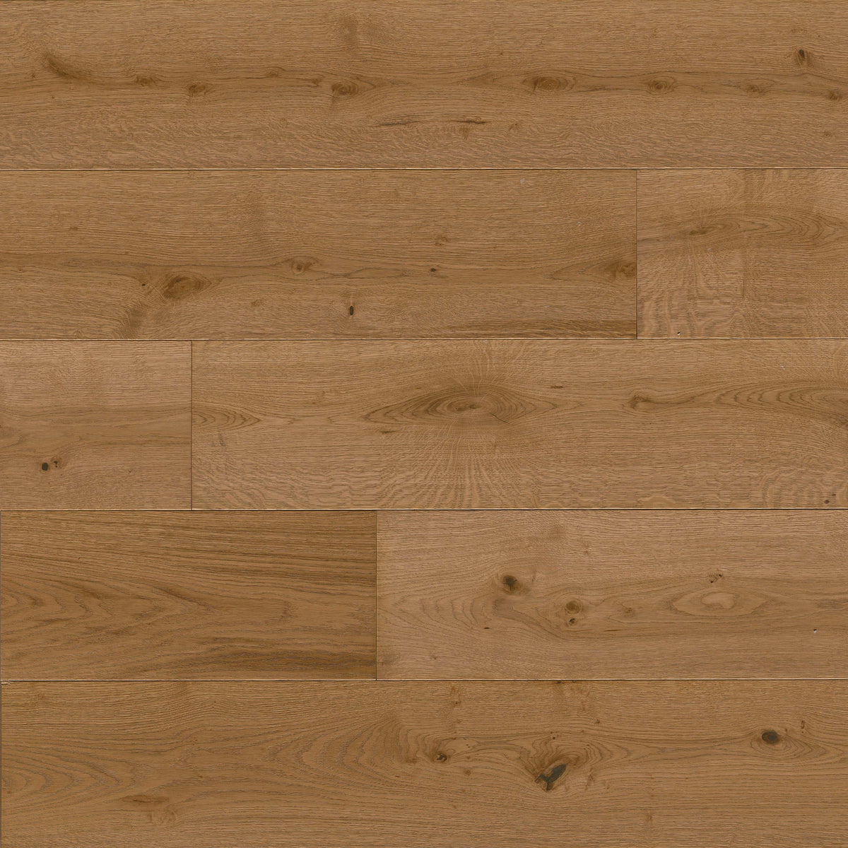 W by MSI McCarran — Leander Oak — detail
