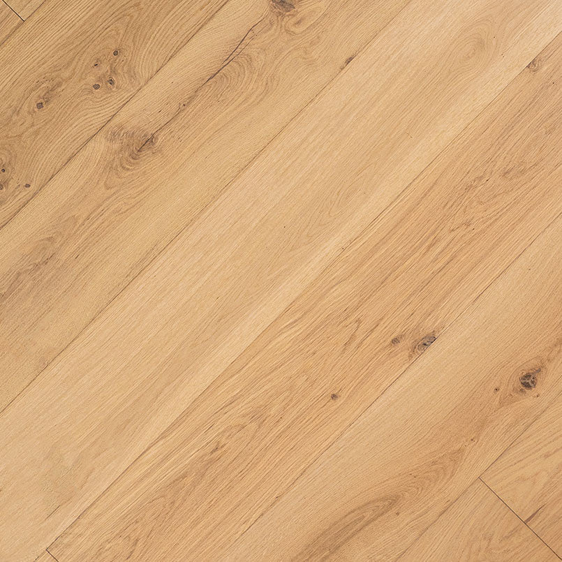 W by MSI McCarran — Montevideo Oak — iso