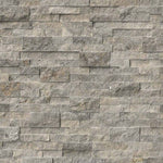 Silver Travertine color reference — MSI Tuscany Silver Travertine Tumbled Pavers